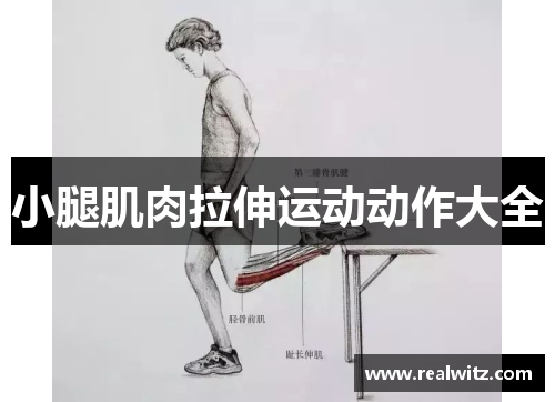 小腿肌肉拉伸运动动作大全