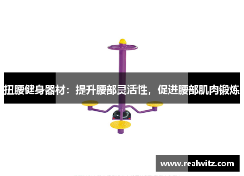 扭腰健身器材：提升腰部灵活性，促进腰部肌肉锻炼